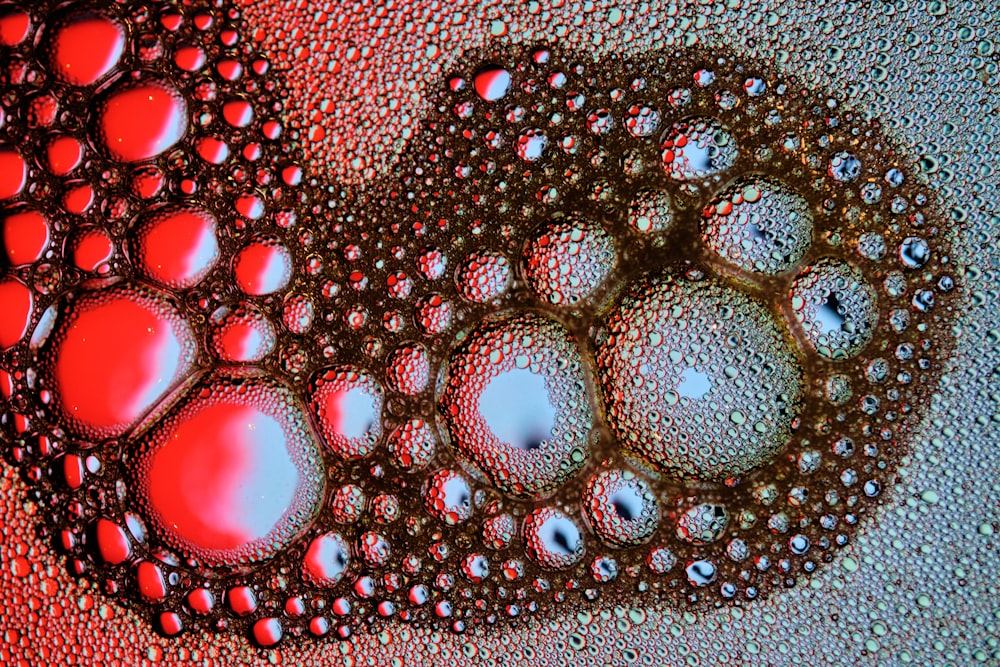 black and red round ornament