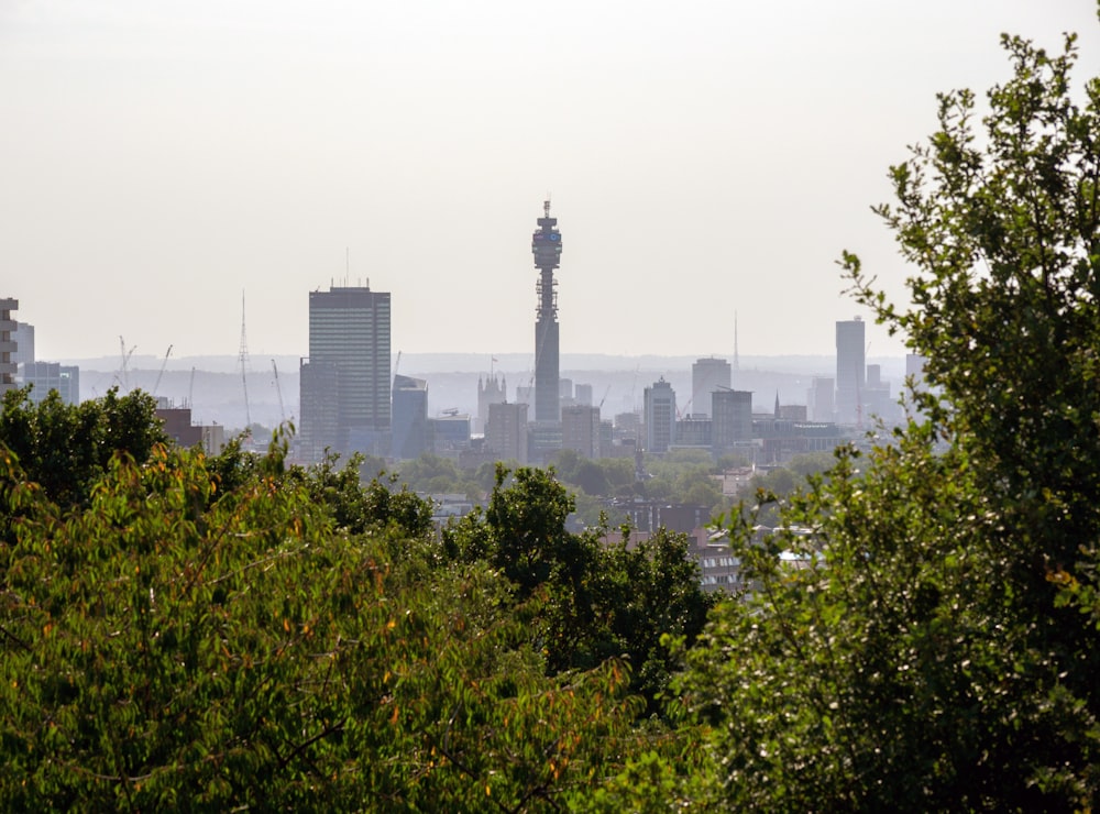 green trees near city buildings during daytime