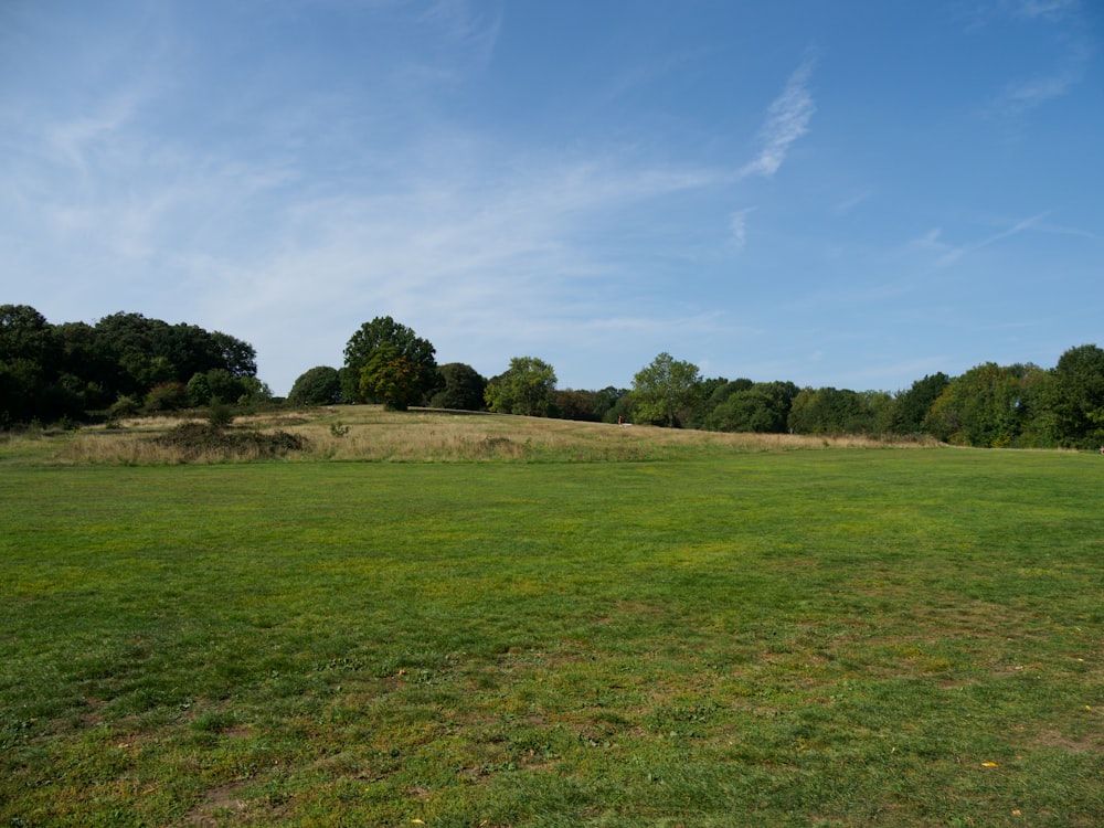 green grass field under blue sky during daytime