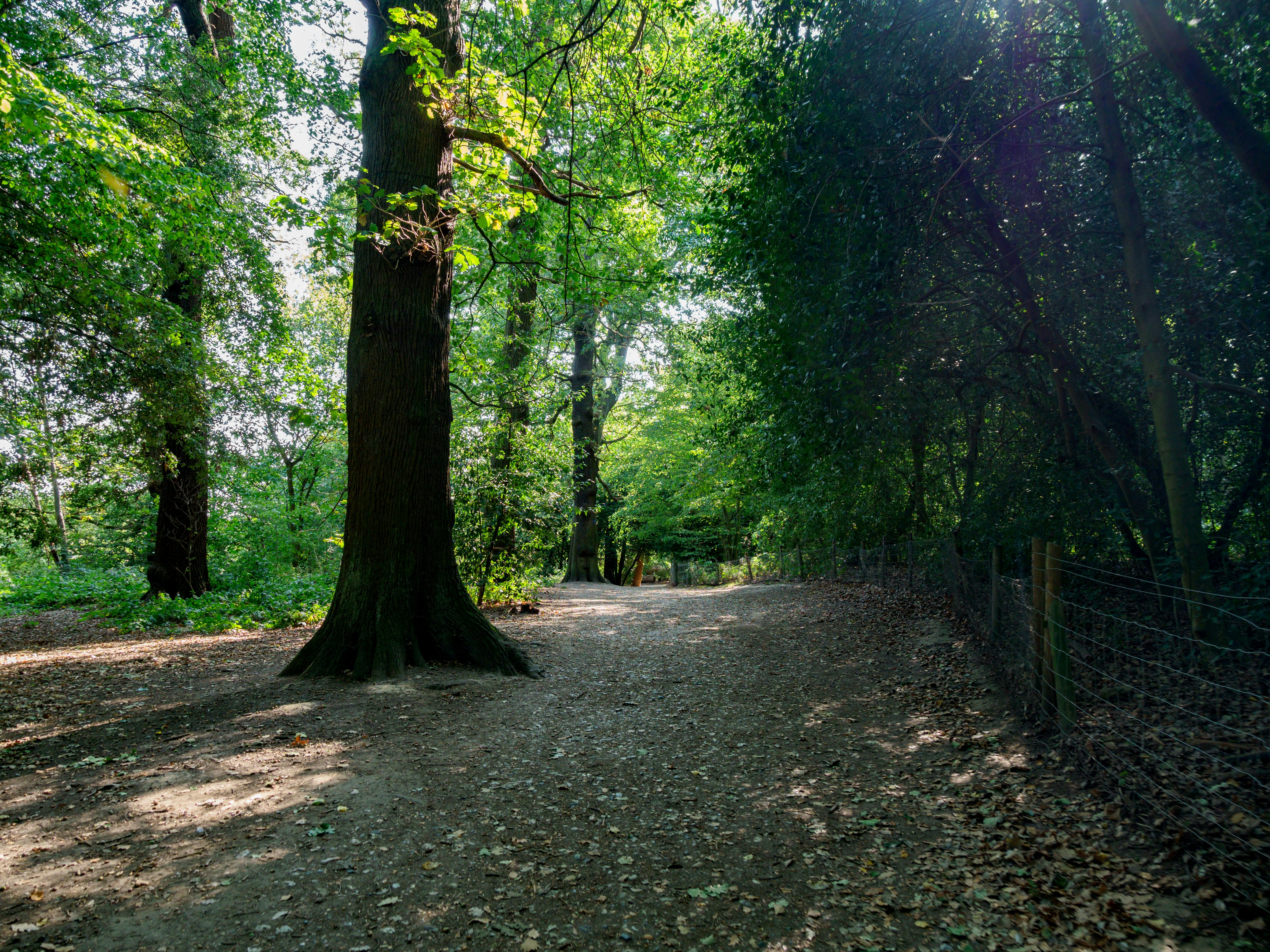 Photo by brett_jordan