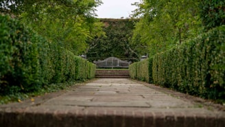 A beautifully arranged pathway leading through a well-maintained garden.