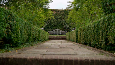 A neatly trimmed lawn bordered by sculpted shrubs and a stone pathway