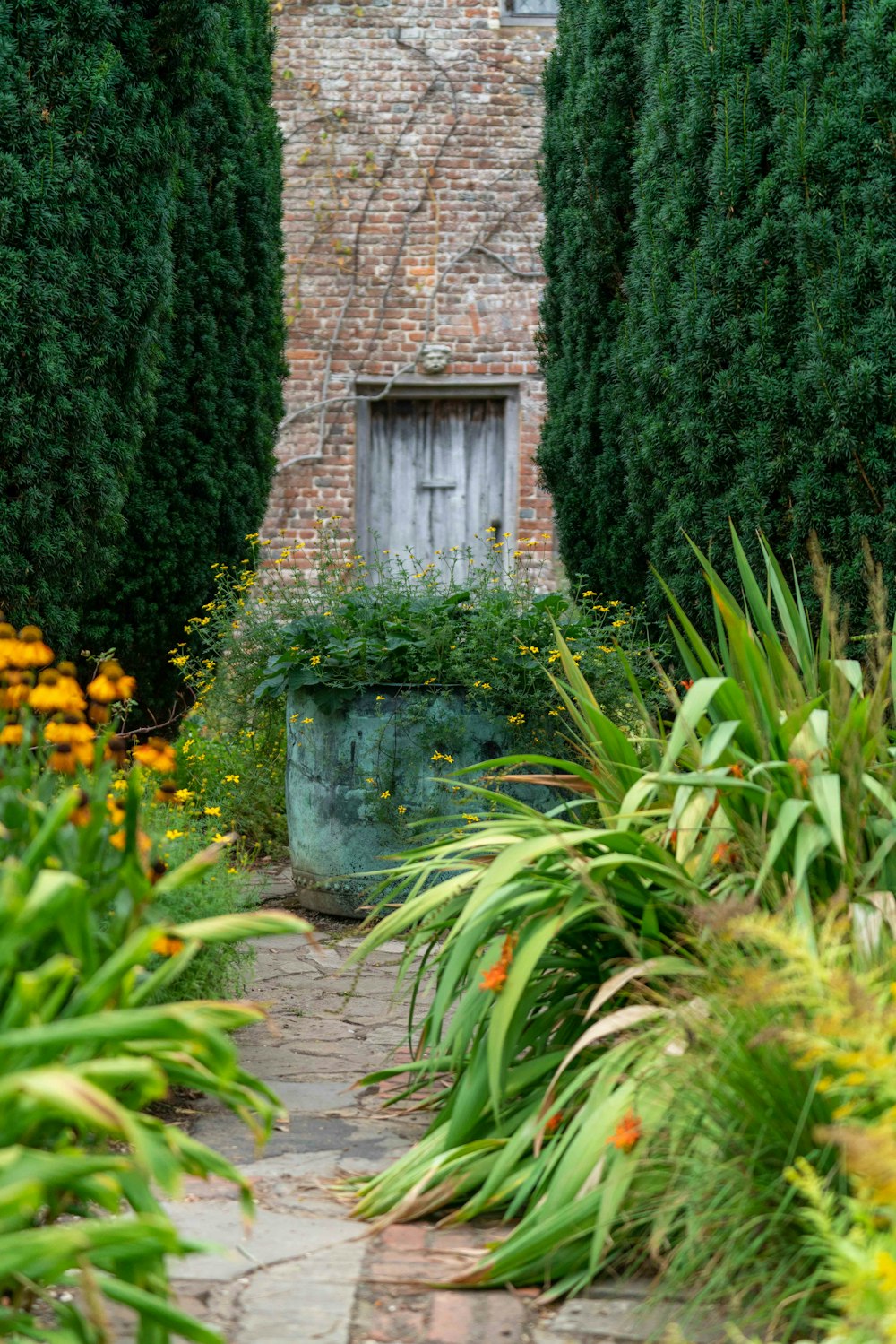 green grass near brown brick wall