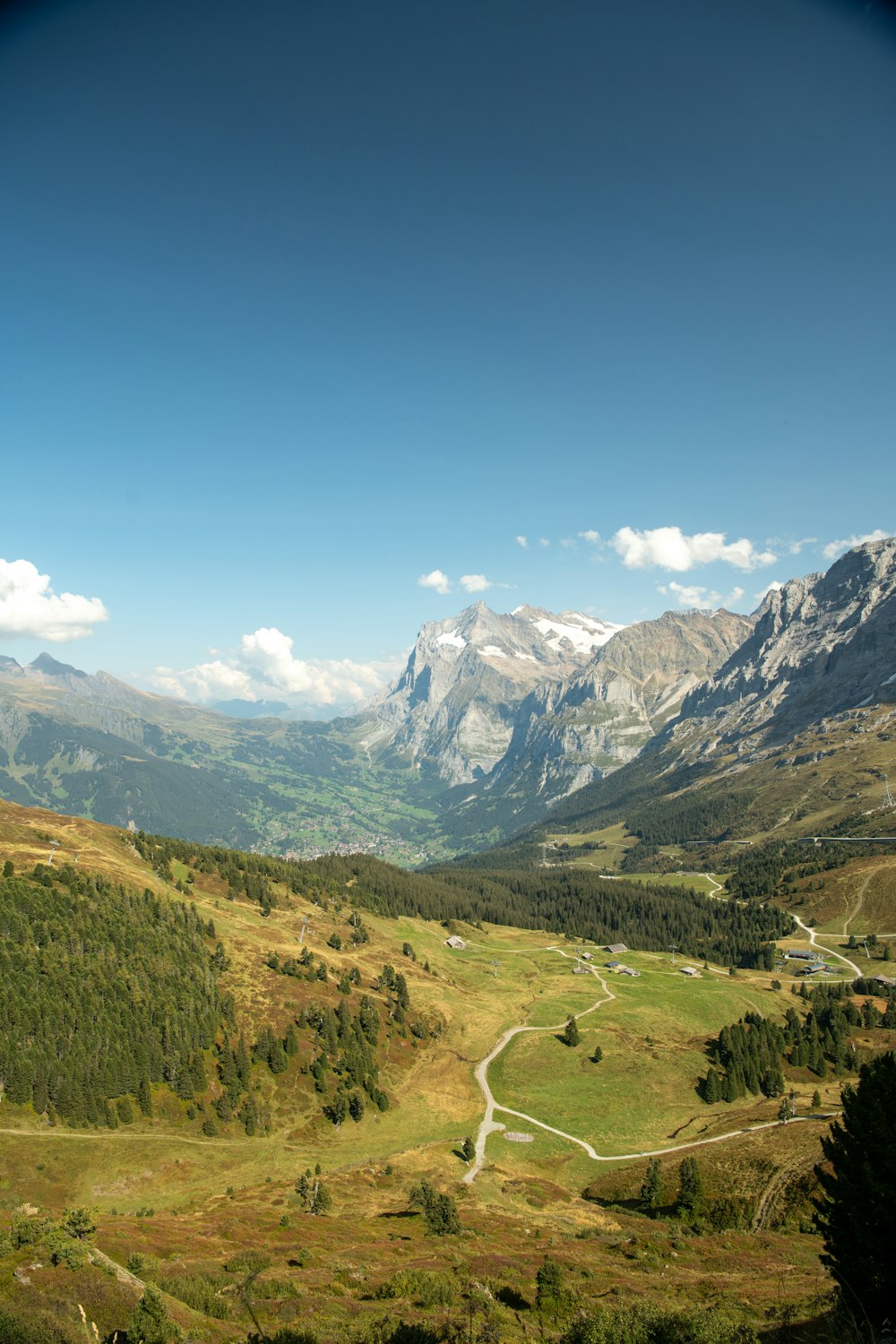 green grass field and mountains under blue sky during daytime