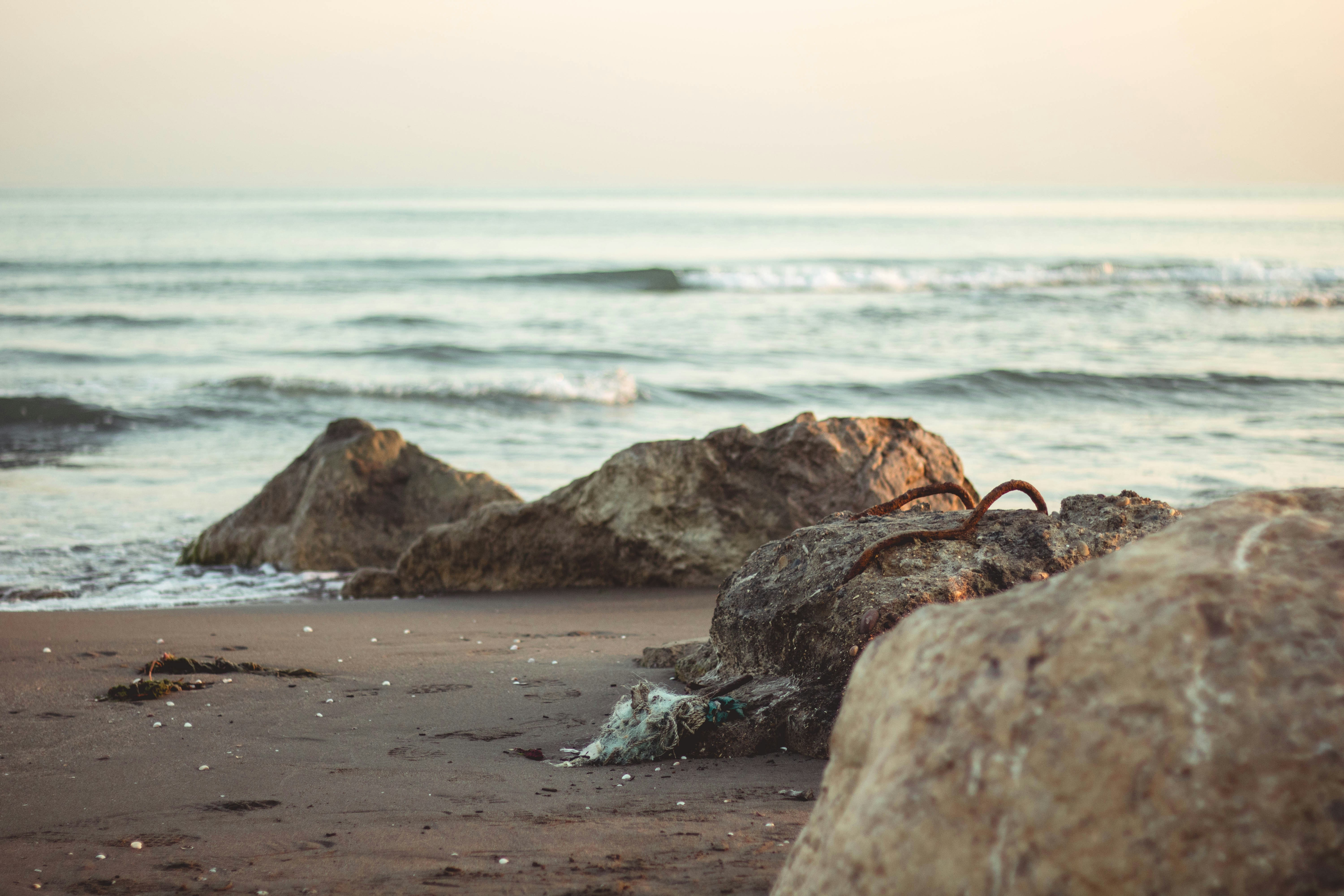 Photo by blueswallow