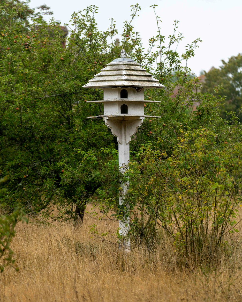 white wooden birdhouse on green tree during daytime