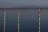 blue and white wooden post on sea water during daytime