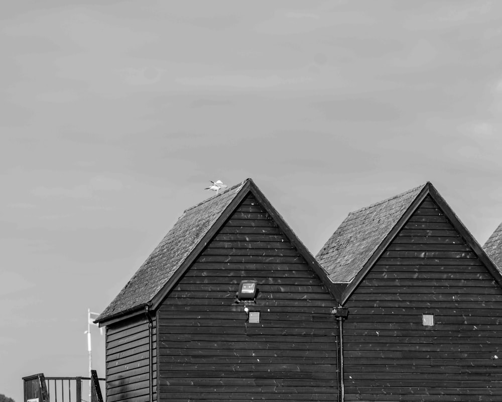 grayscale photo of wooden house