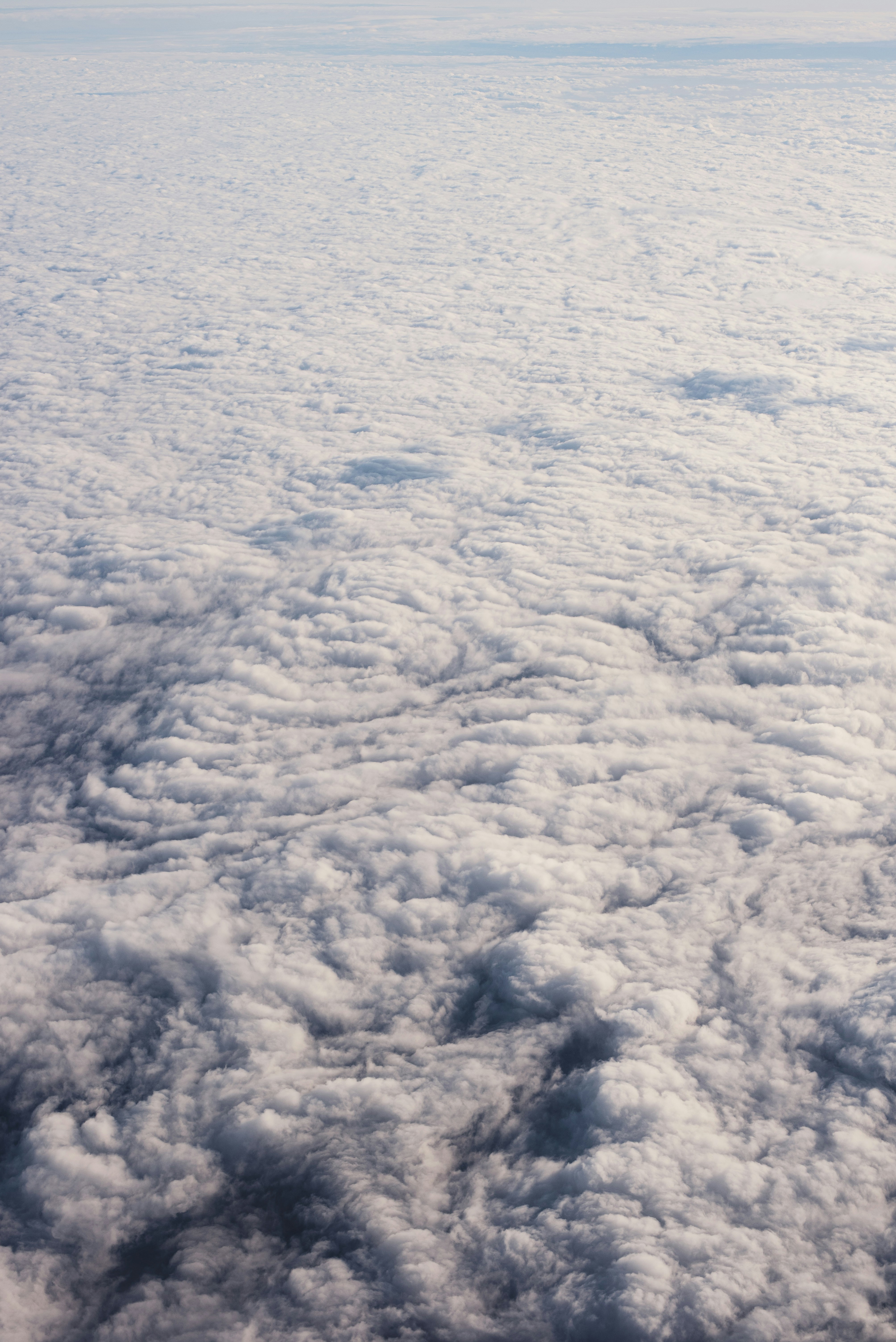 Photo by ryunosuke_kikuno