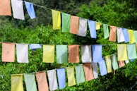 A mountain trail winding through lush forests with colorful prayer flags fluttering.