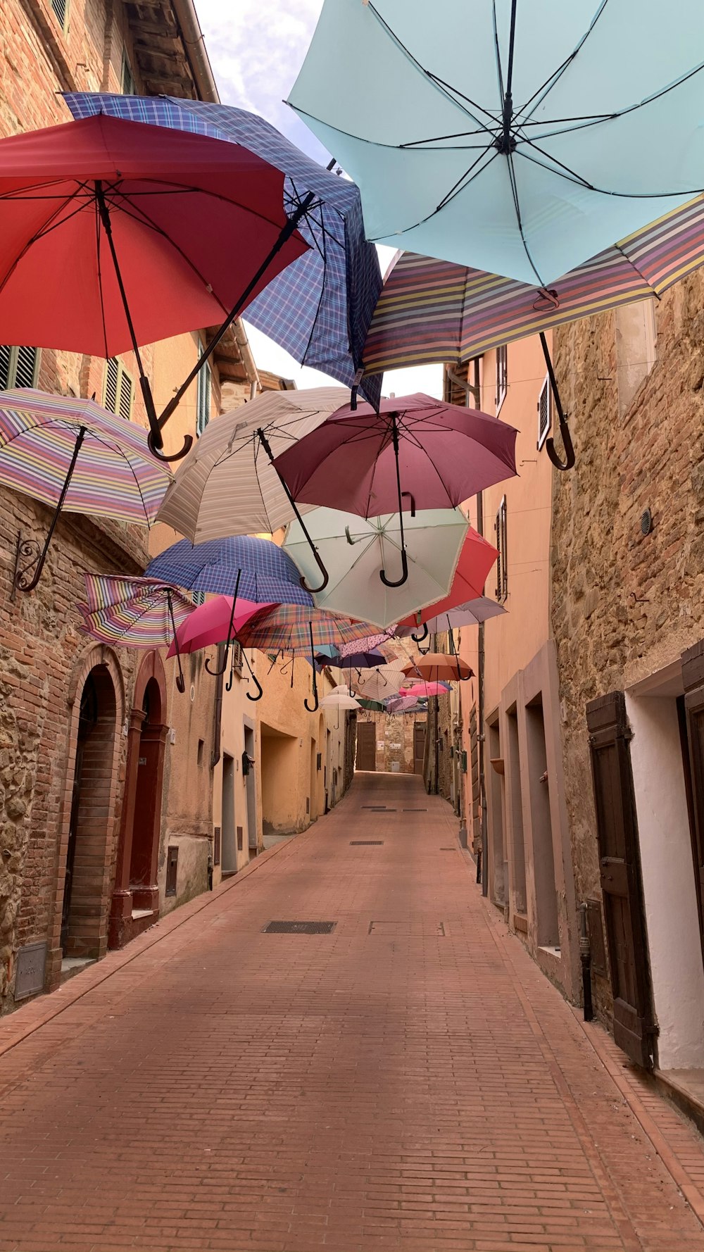 umbrella and umbrella on street during daytime