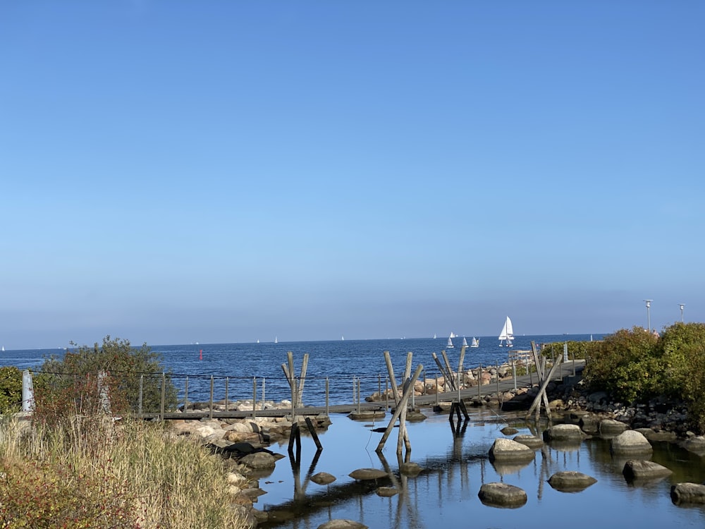 brown wooden log on seashore during daytime