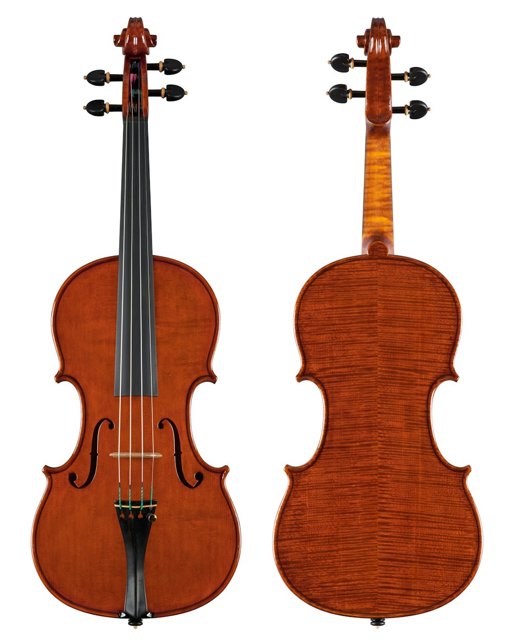 braune Geige mit weißem Hintergrund