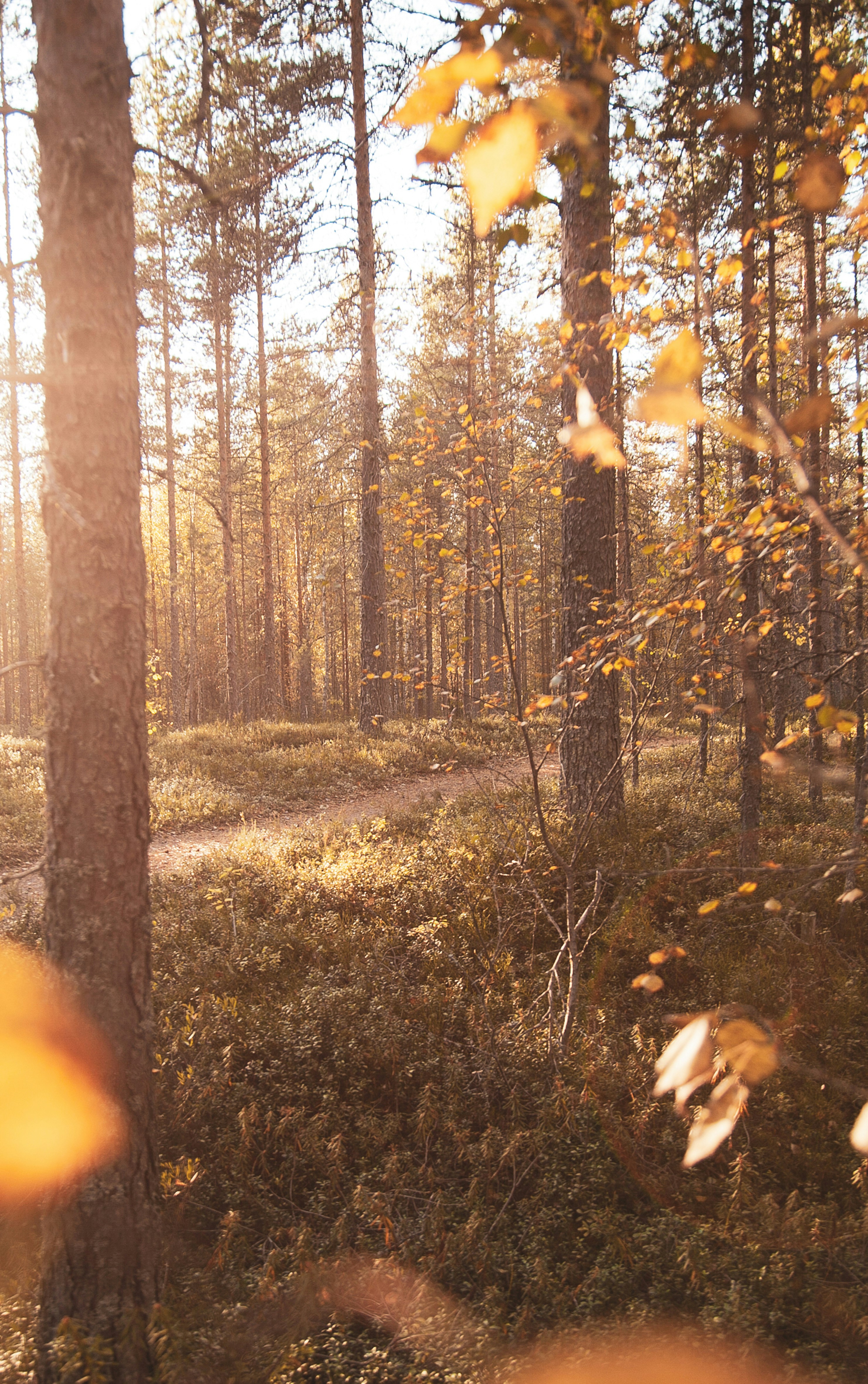 Photo by nick_brookenheimer