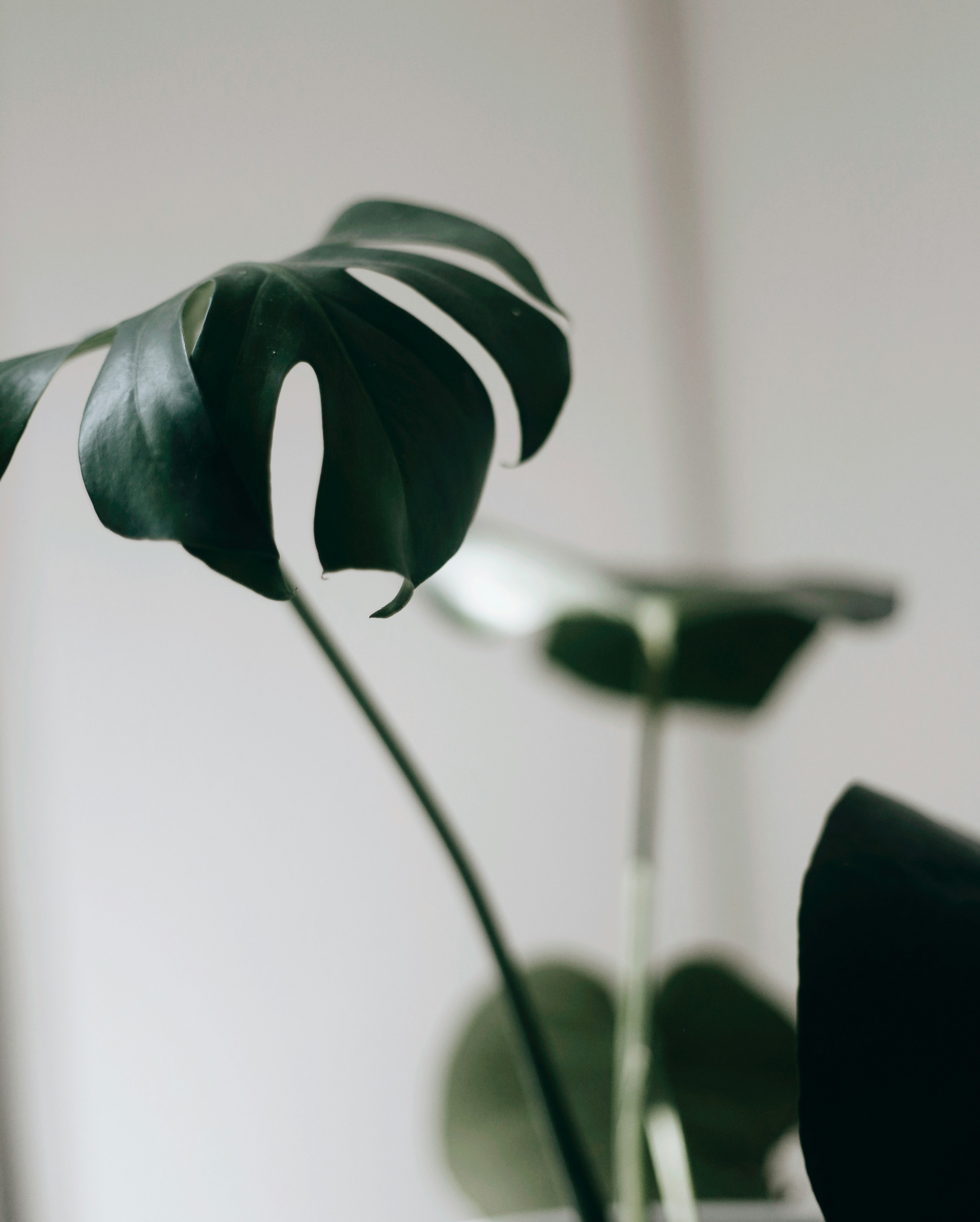 Photo by jonathansancheziam