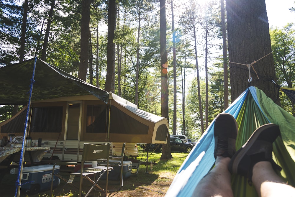 blue and white tent in forest during daytime