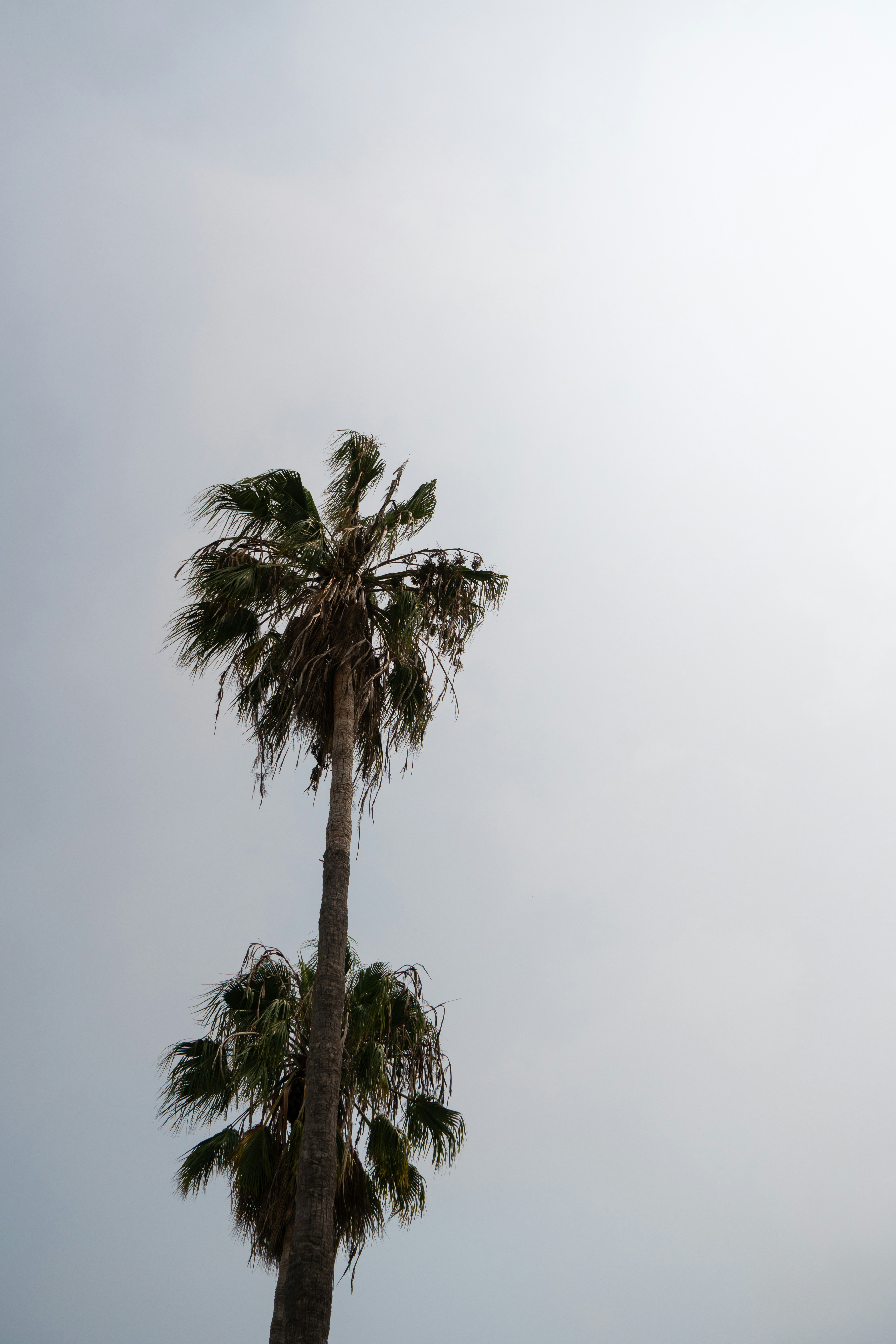 Photo by carl_newton