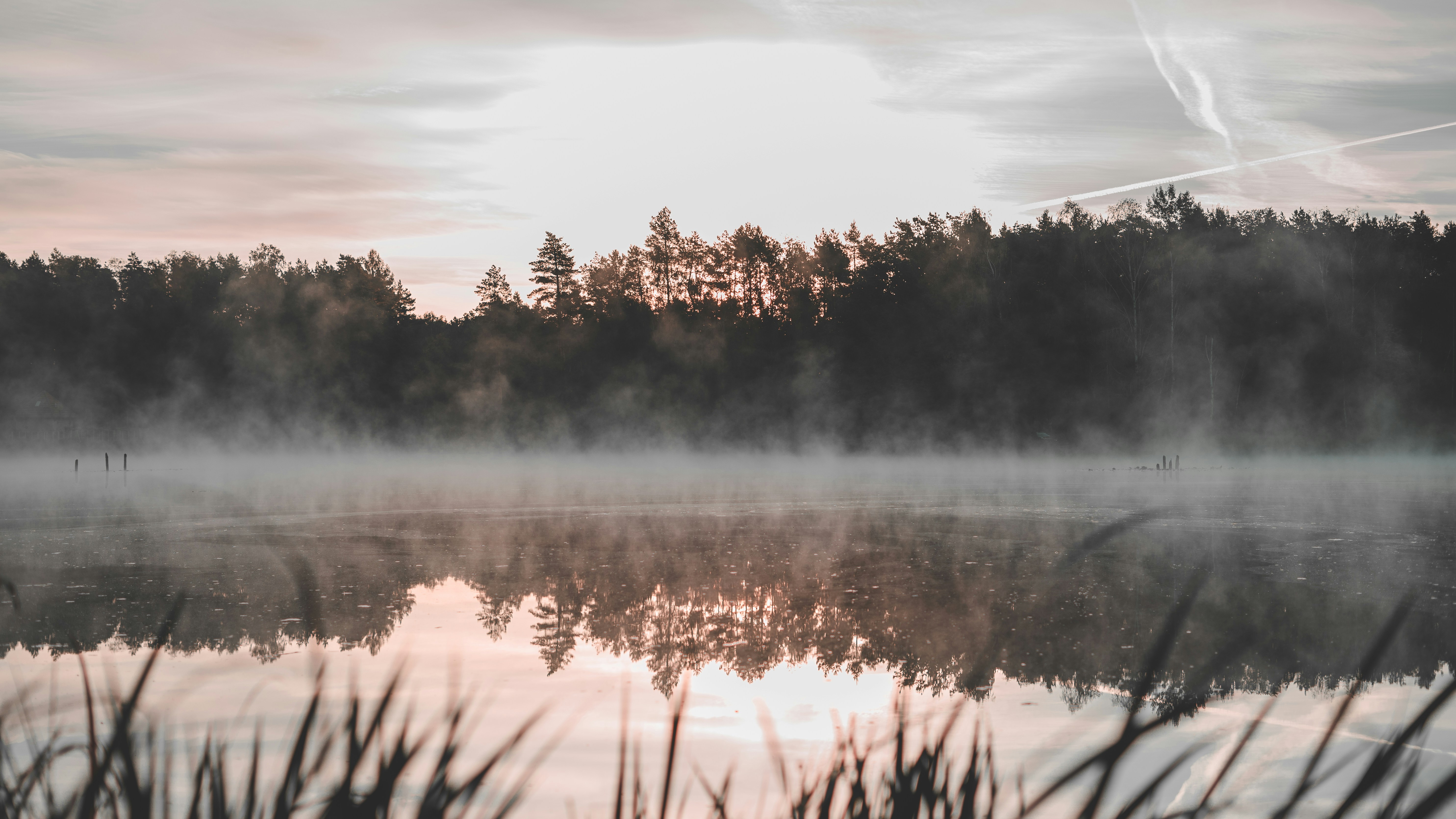 Photo by gregory_rak