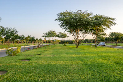 Illustration of a calendar marked weekly with a clean green yard in the background.