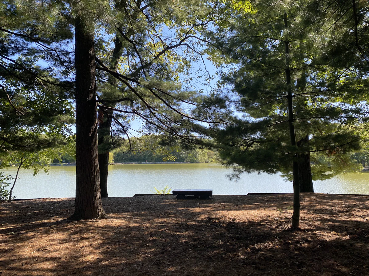A bench, assigned for contemplation.