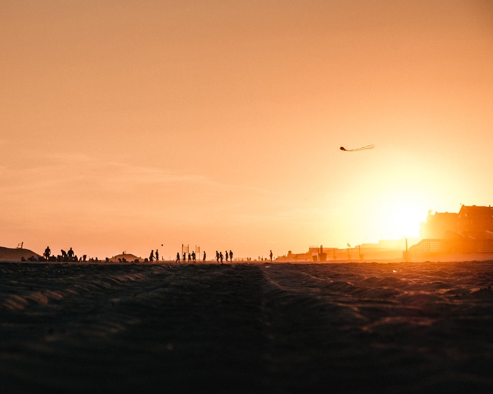 silhouette of birds flying over the city during sunset