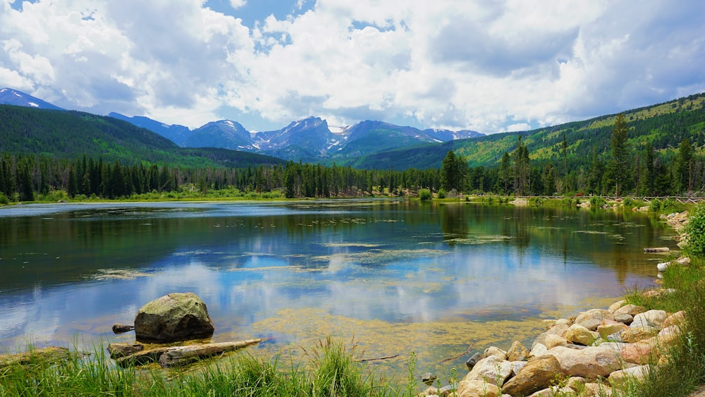 green trees near lake under white clouds and blue sky during daytime