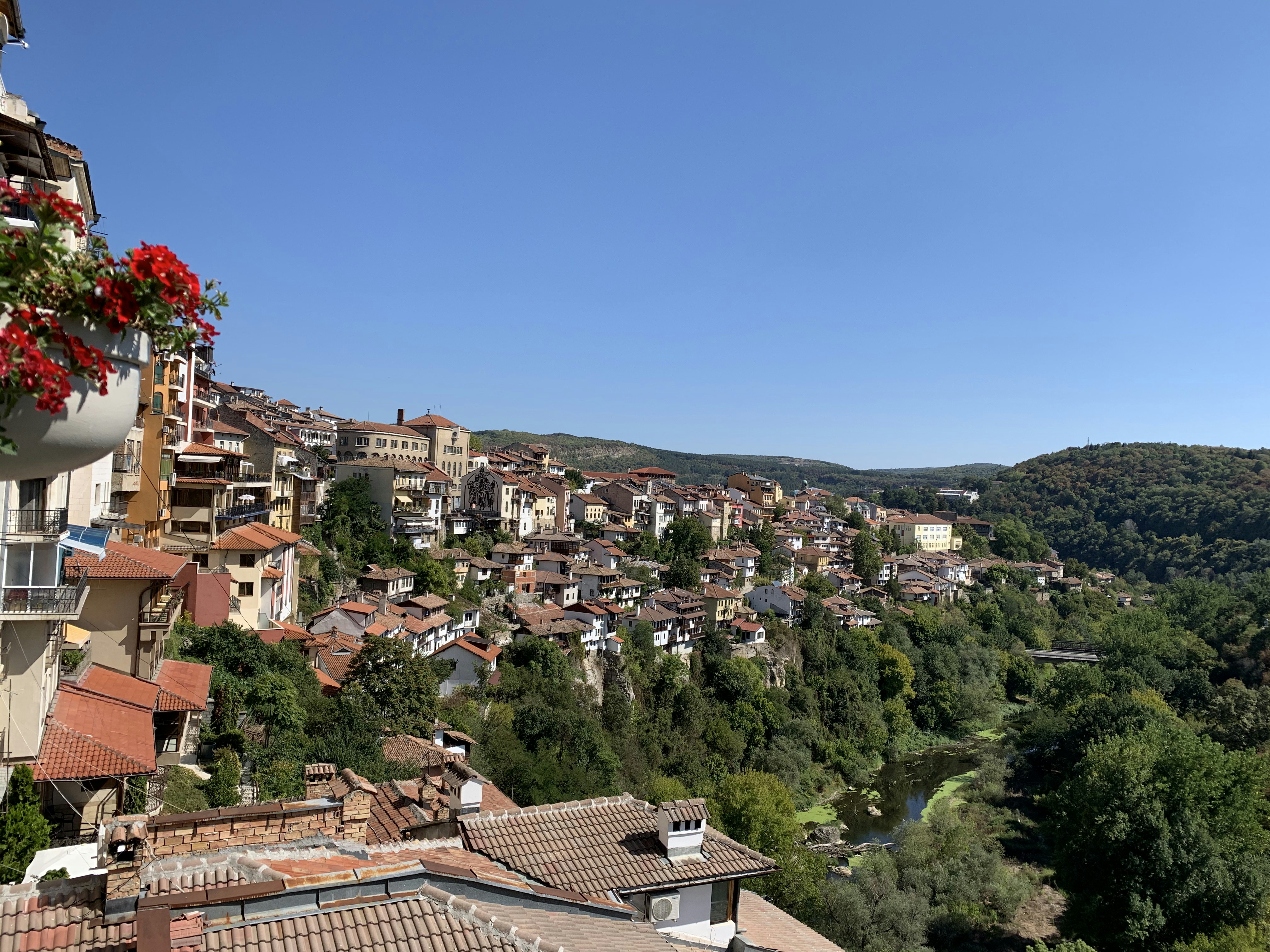 houses on hill under blue sky during daytime