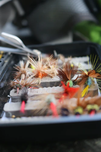 Fly box loaded with dry flies and nymphs for the South Platte