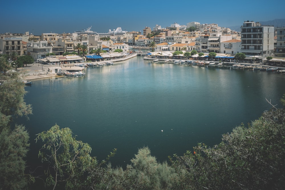 aerial view of city buildings near body of water during daytime