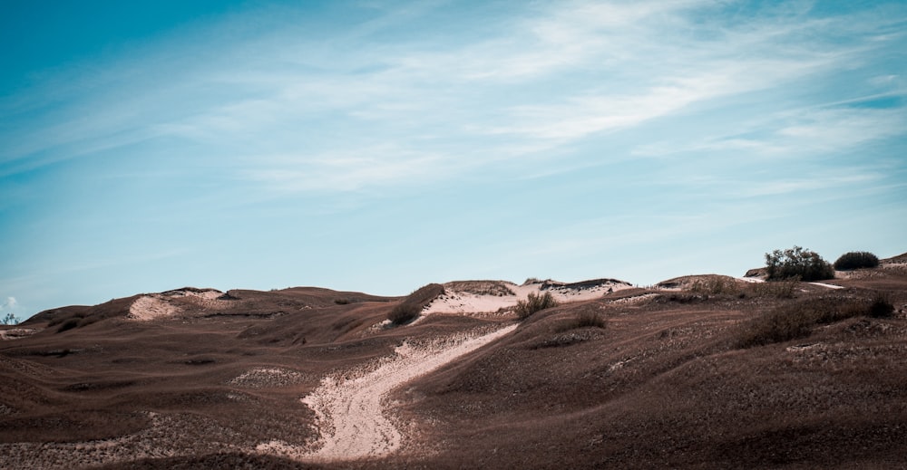 brown sand under blue sky during daytime