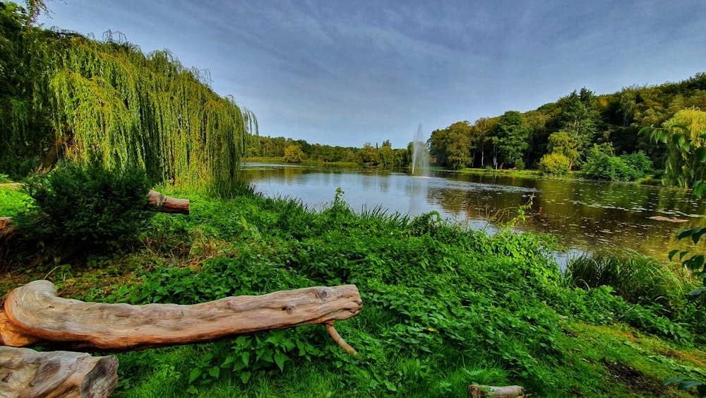 brown wooden bench on green grass field near lake during daytime