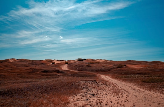 brown sand under blue sky during daytime in Nationaal Park Koerse Schoorwal Lithuania