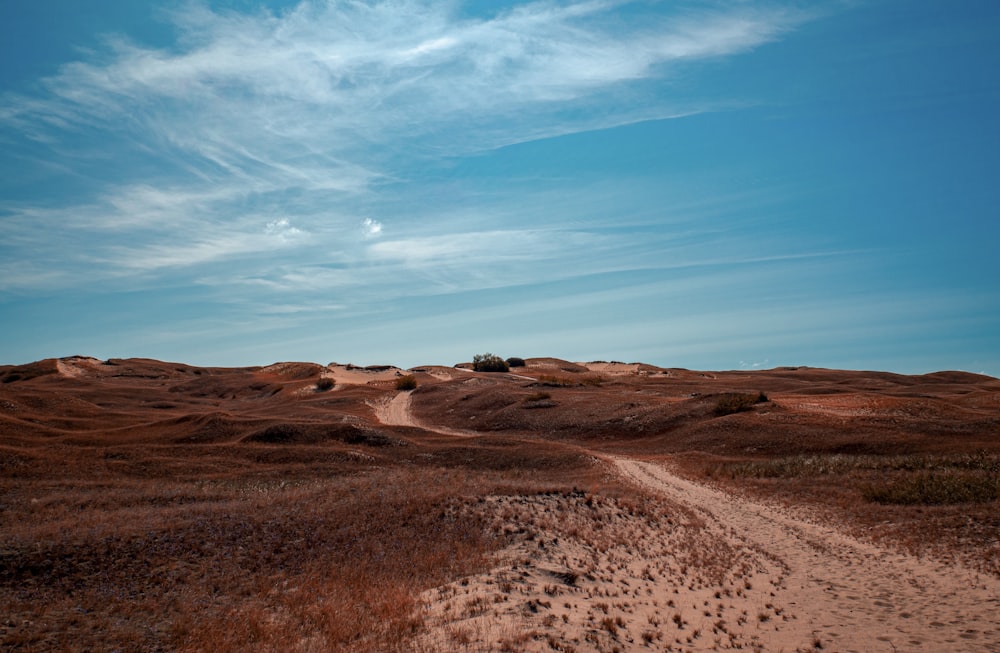 brown sand under blue sky during daytime