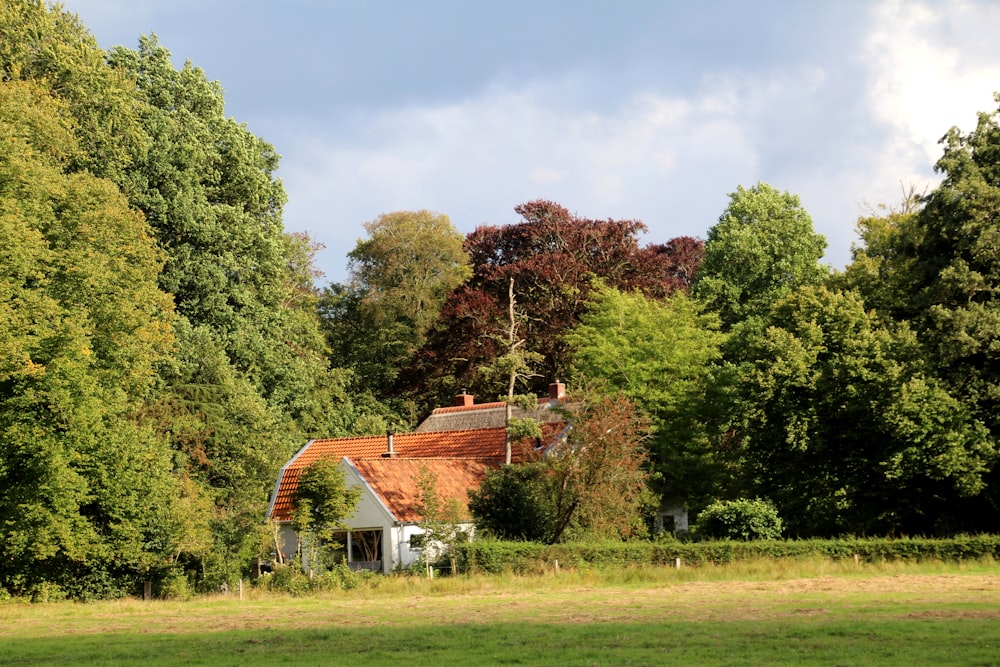 white and brown house near green trees under blue sky during daytime