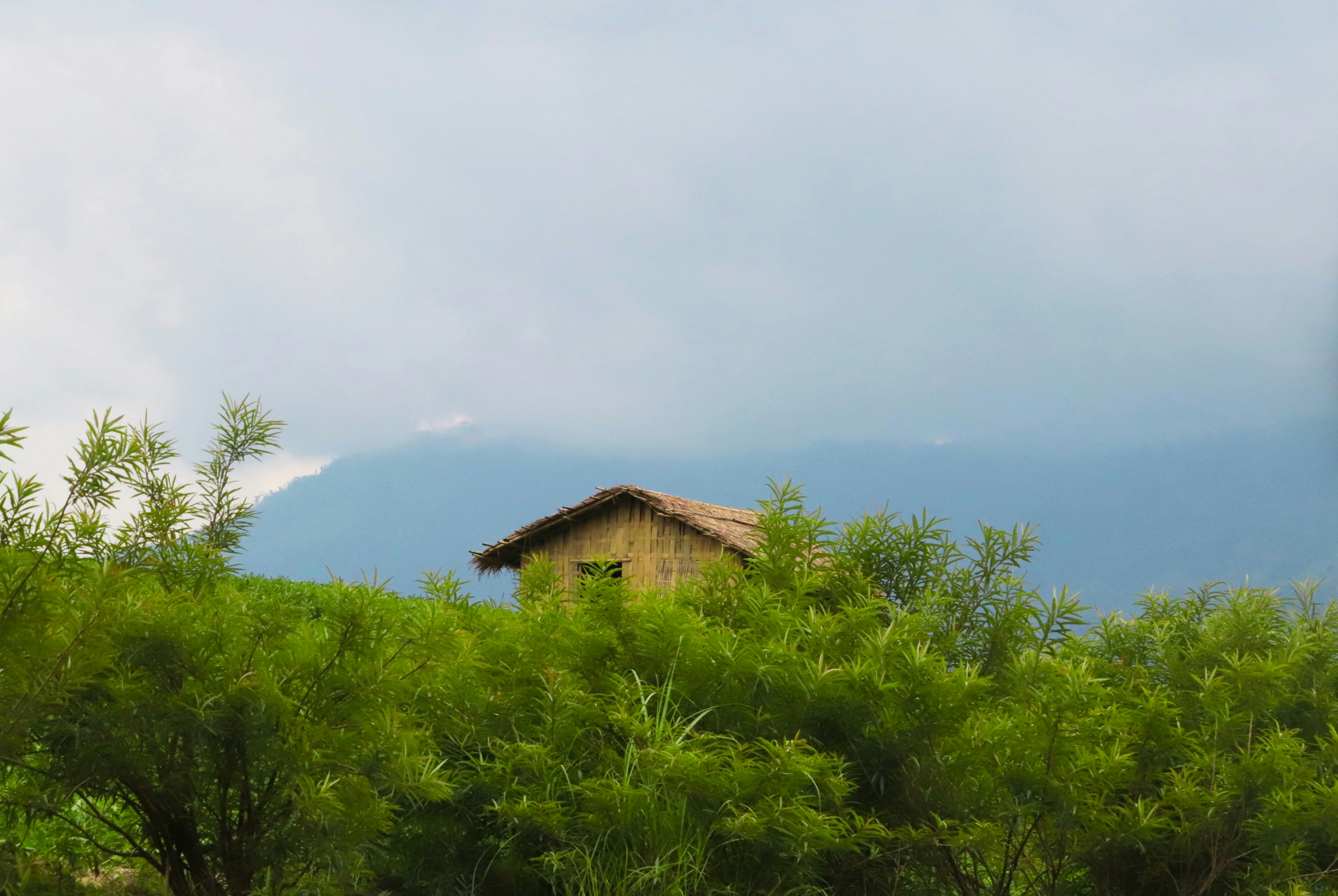 brown wooden house near green grass field under white clouds during daytime