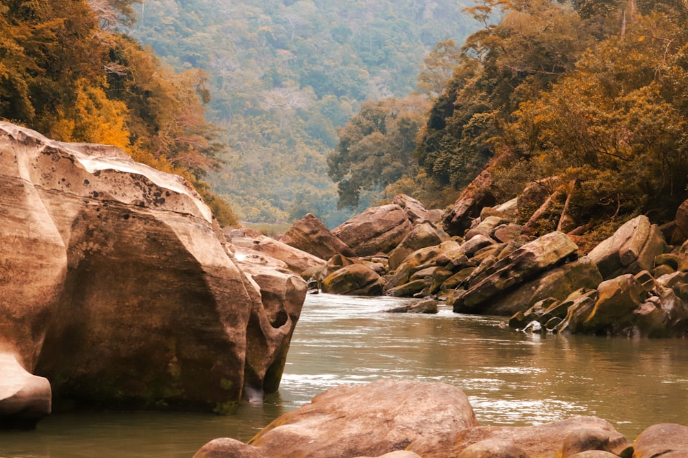 brown rock formation on river during daytime