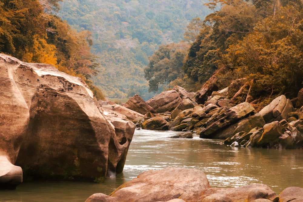 Formazione rocciosa marrone sul fiume durante il giorno