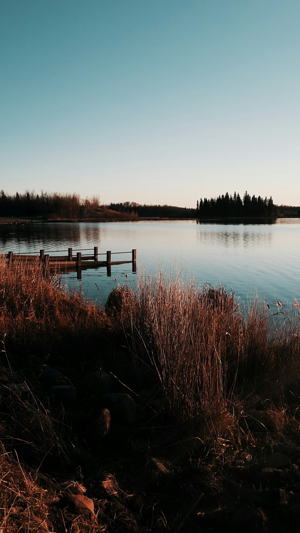 brown wooden dock on lake during daytime