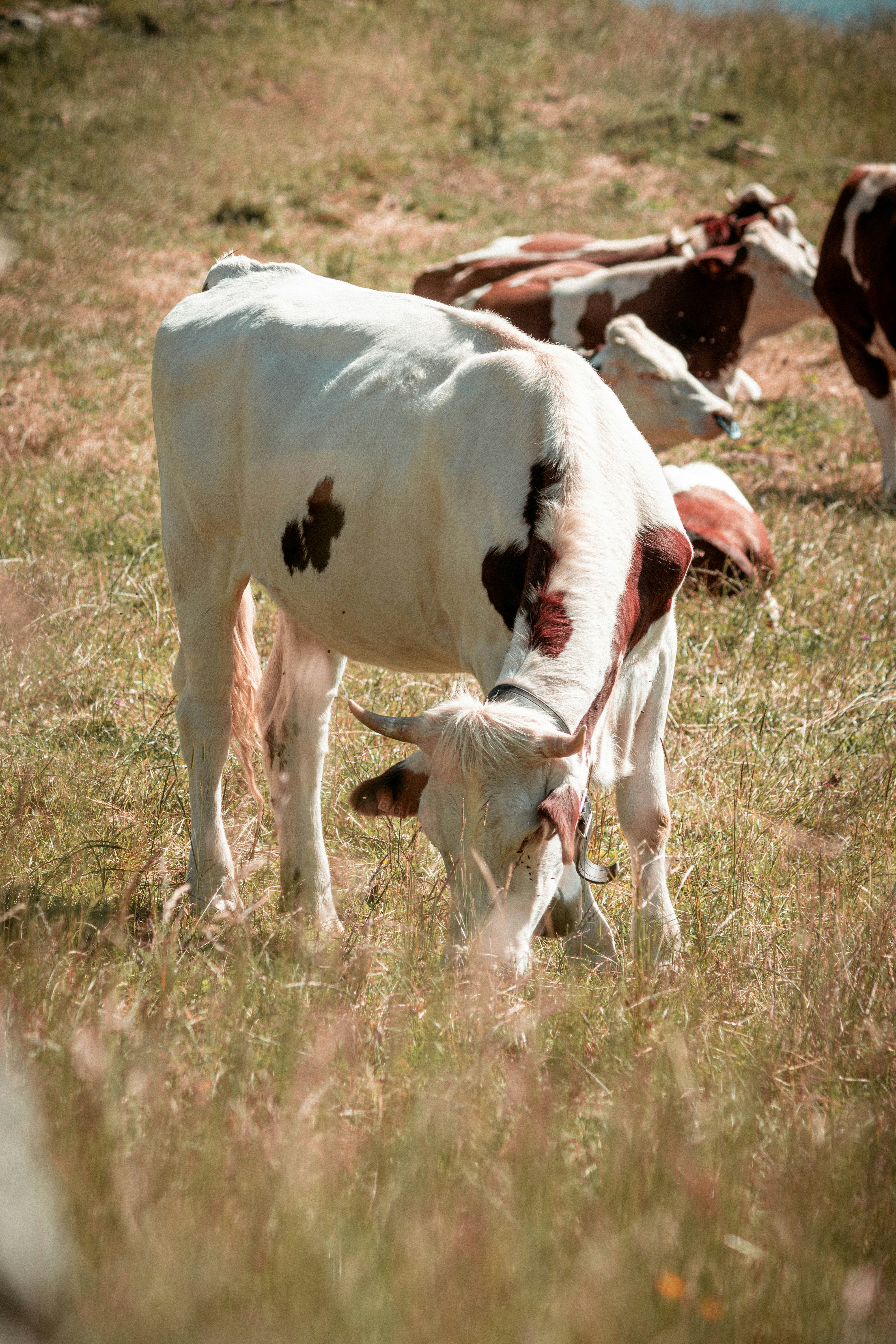 Photo by pierreaxel_