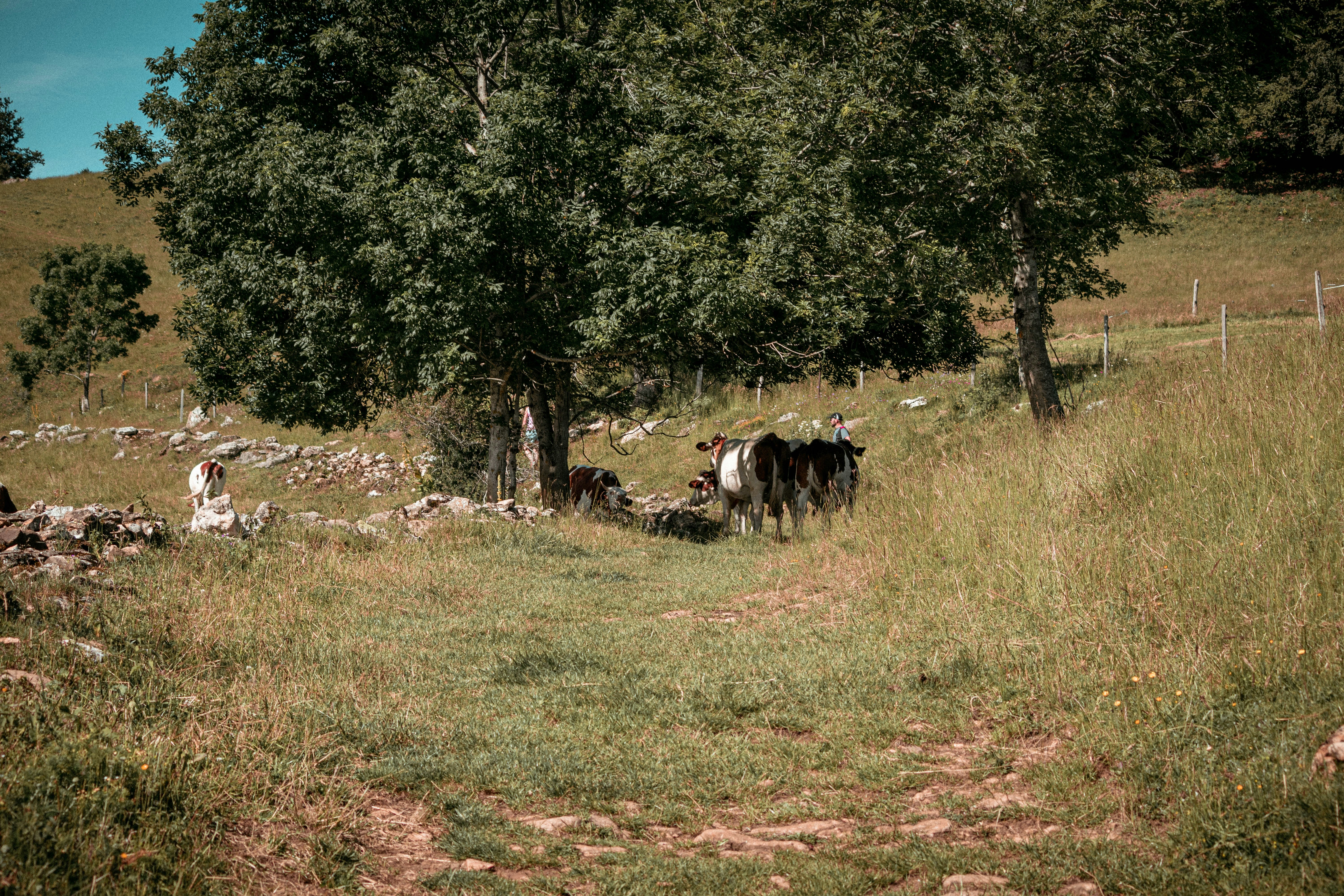 Photo by pierreaxel_