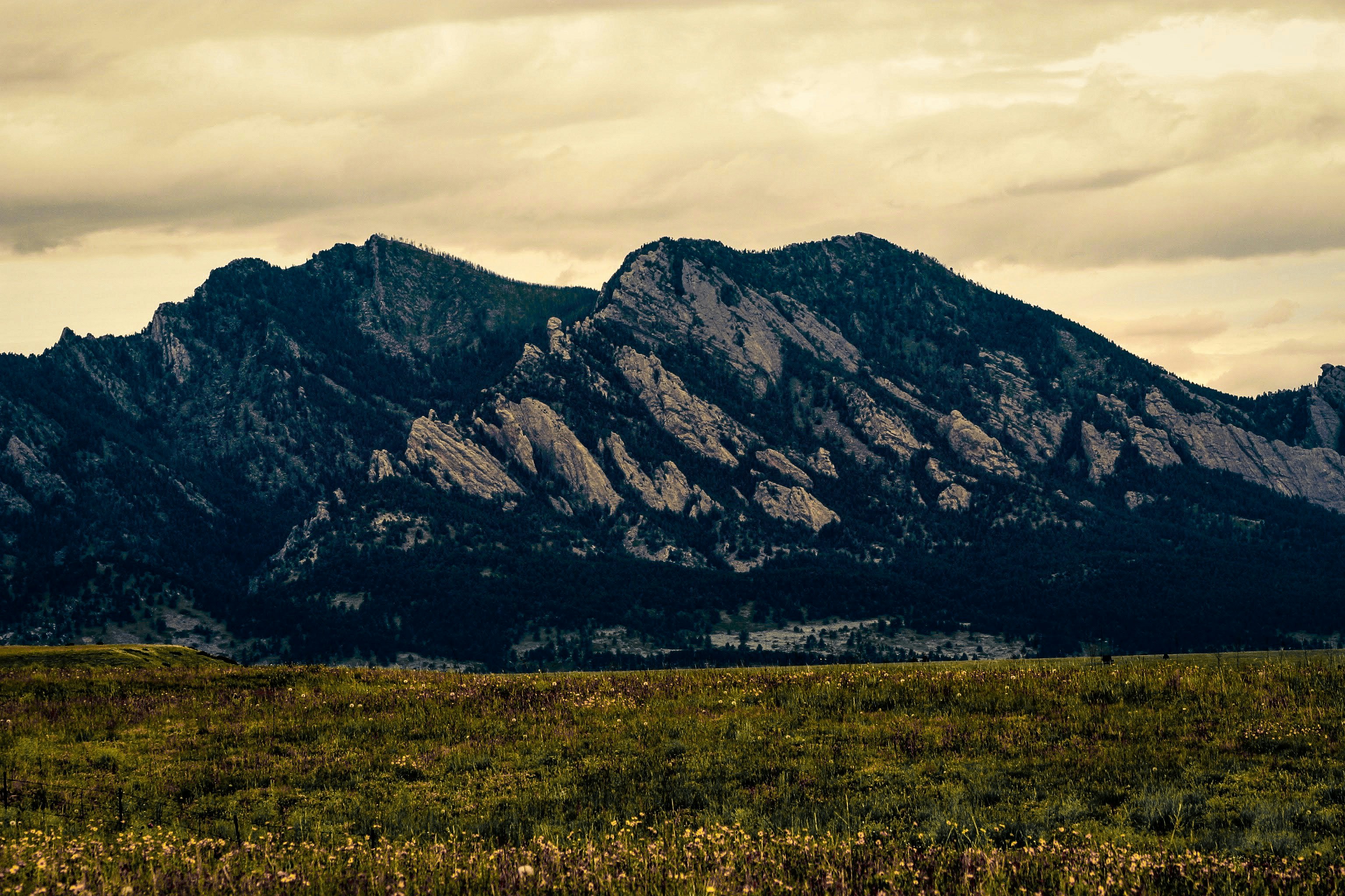 Photo by ethangarvey