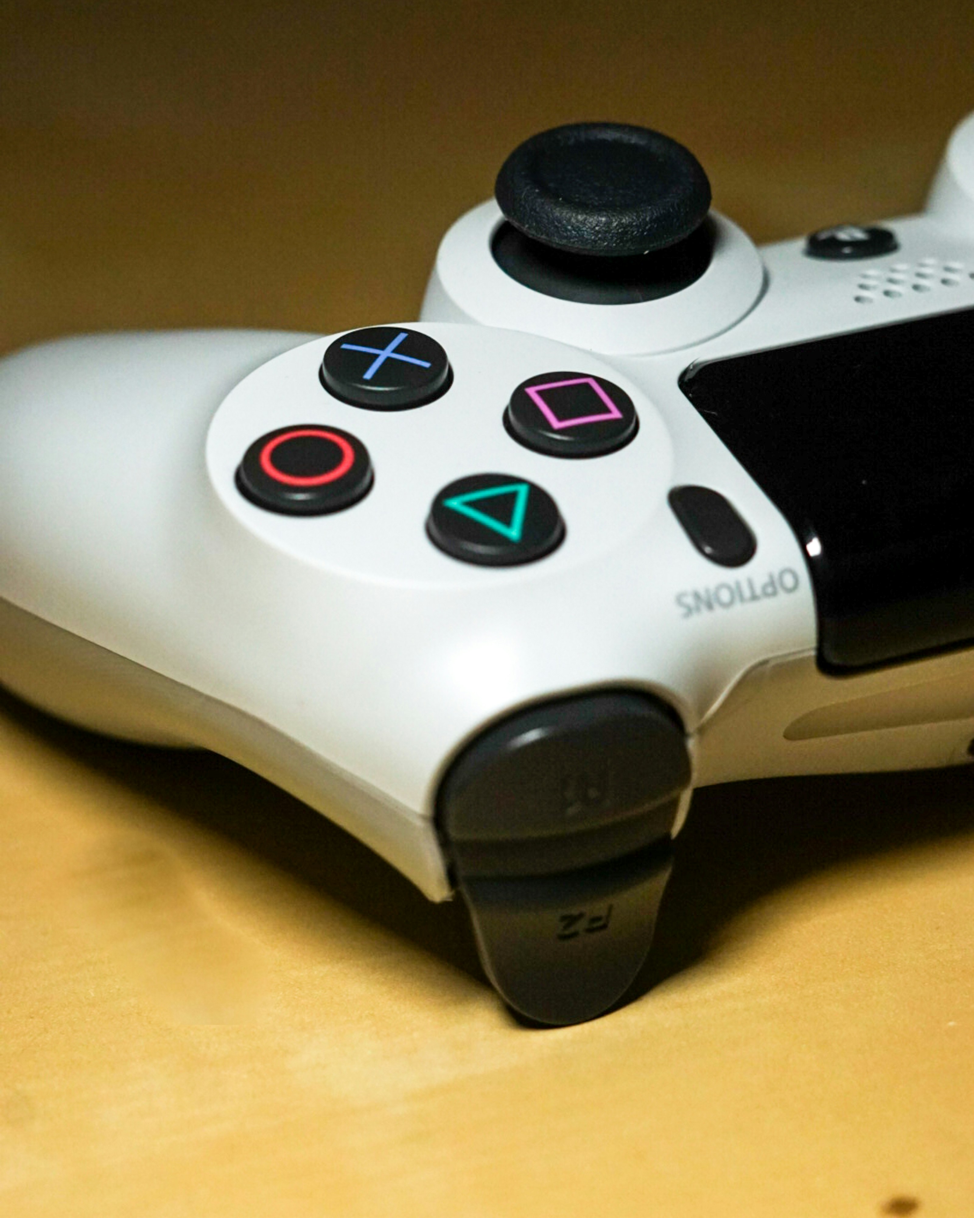 Photo by drizzy_bear86