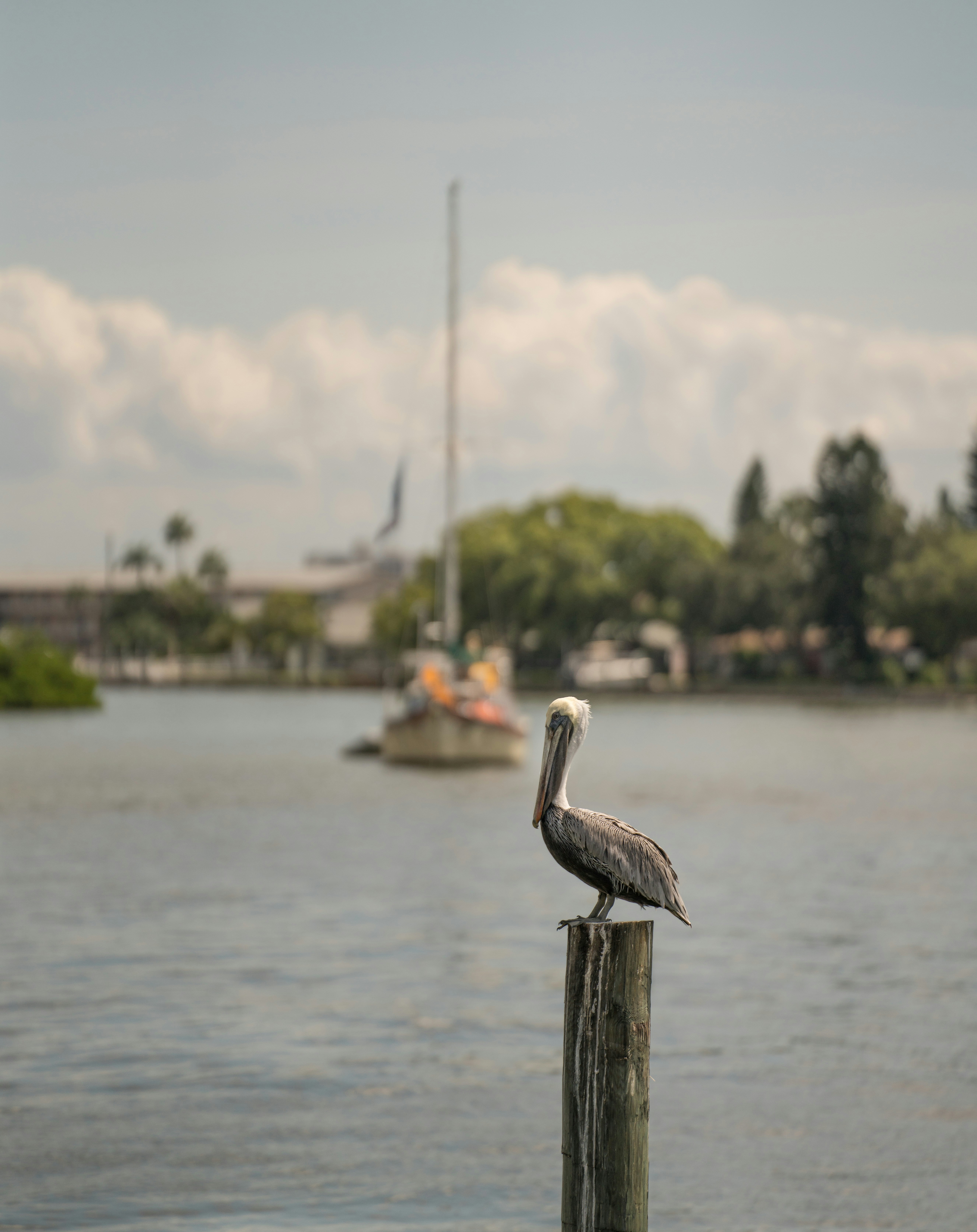 Photo by karographix