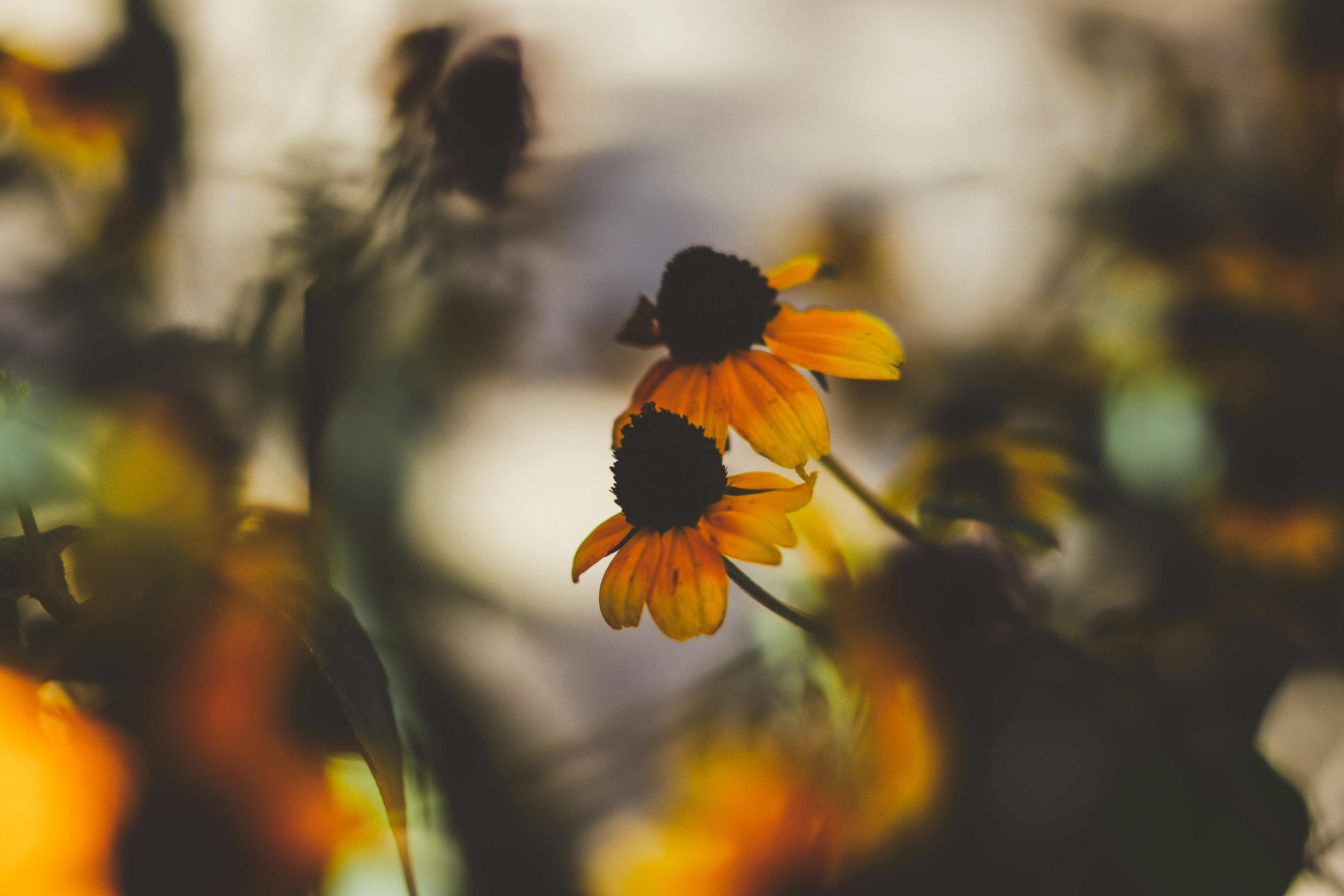 Photo by create4eyes