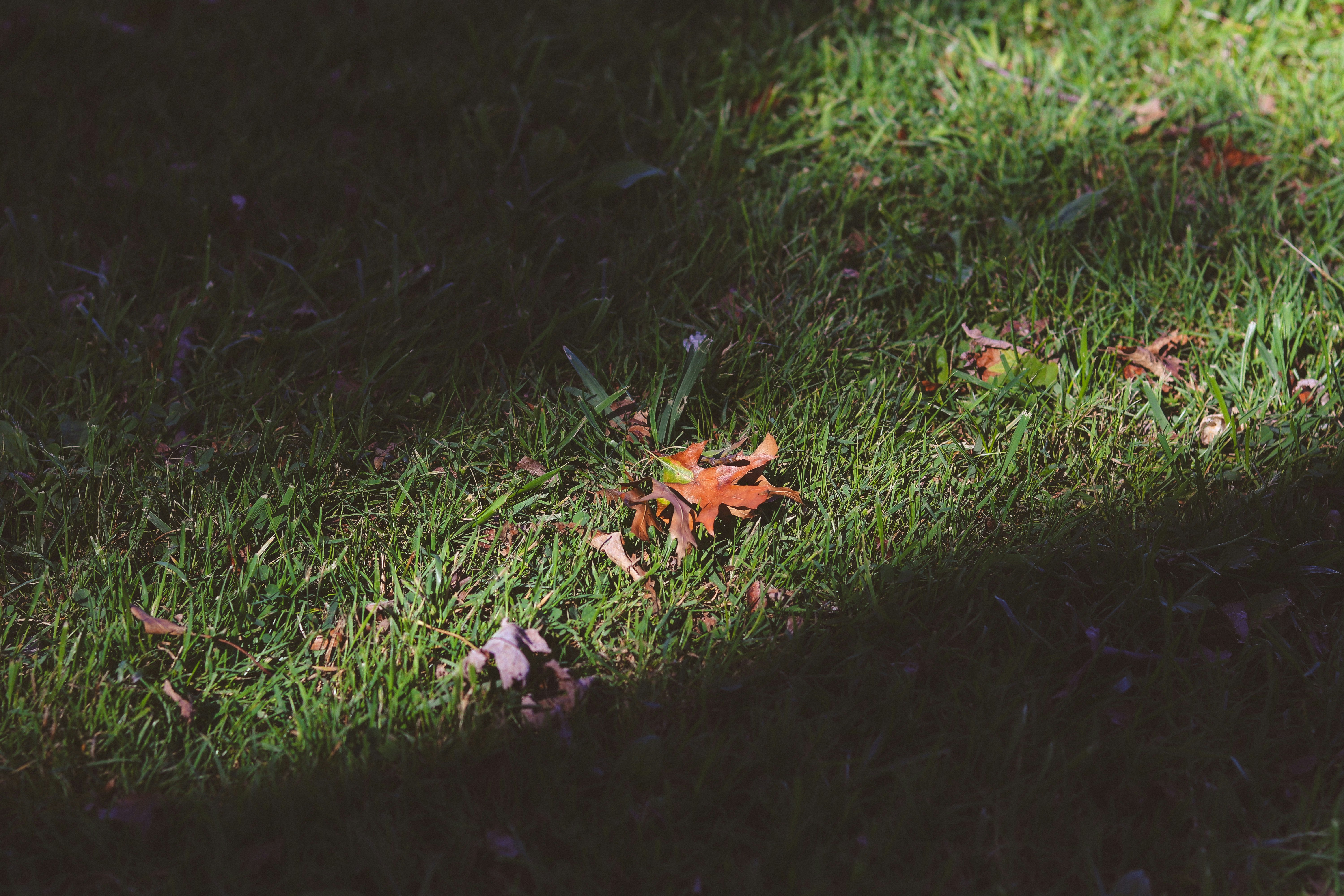 Photo by create4eyes