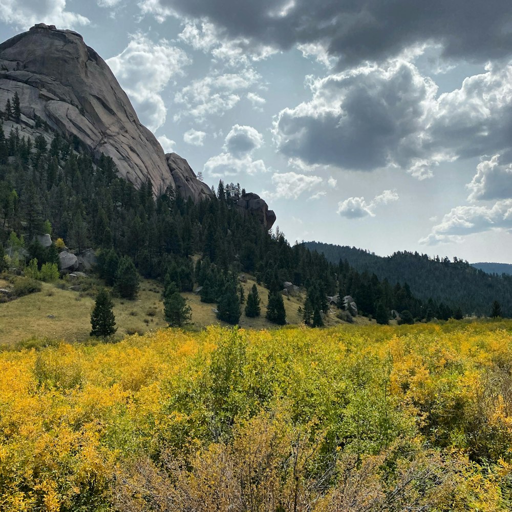 green trees and brown mountain under white clouds and blue sky during daytime