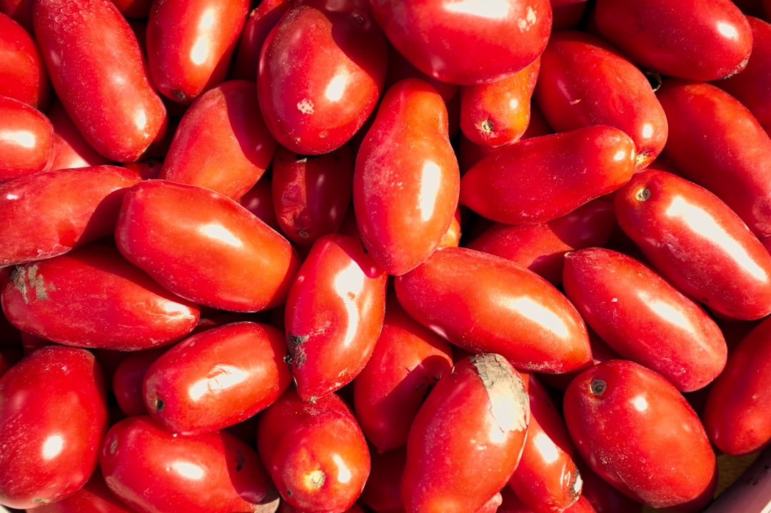 red and yellow fruit lot