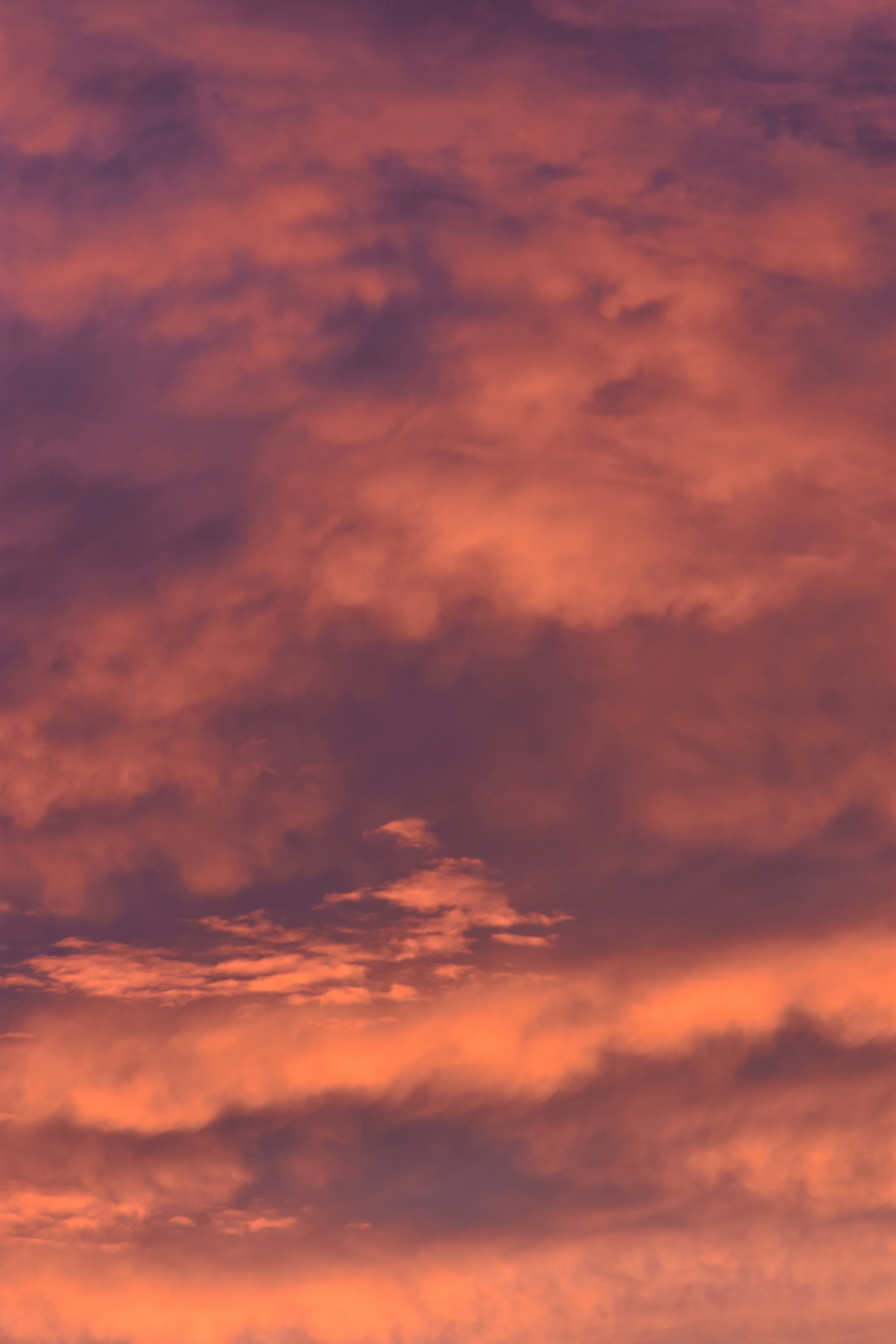 Photo by taylor_smith