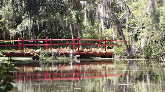 red wooden fence near body of water during daytime in Magnolia Plantation and Gardens United States