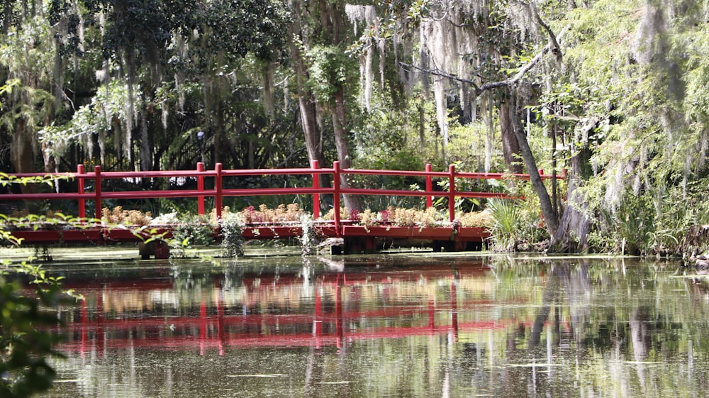 Clôture en bois rouge près d’un plan d’eau pendant la journée